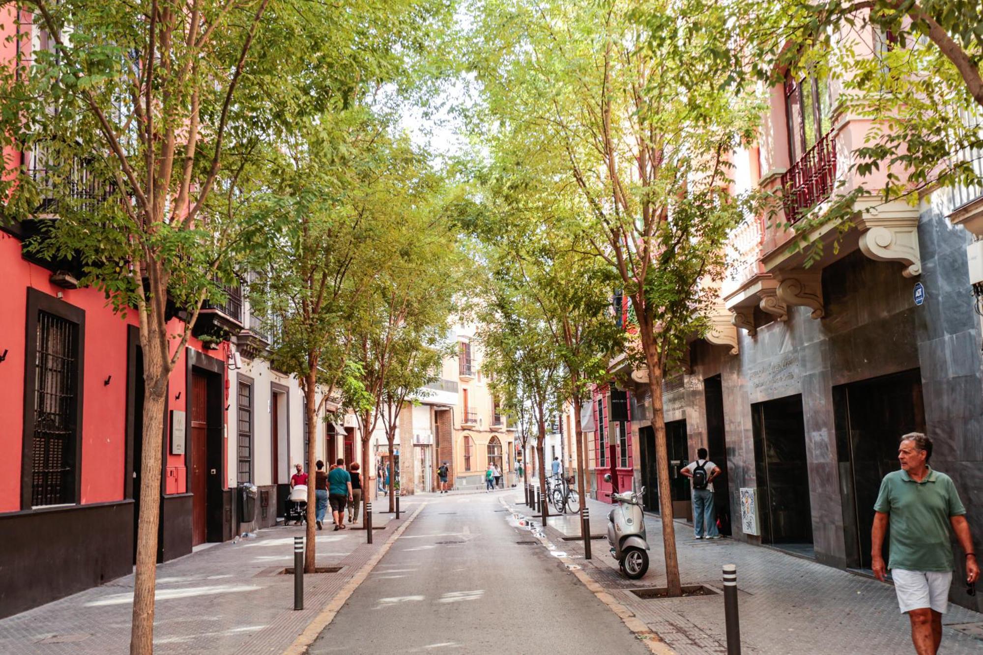 Monkeys Apartments Cervantes เซบีญา ภายนอก รูปภาพ